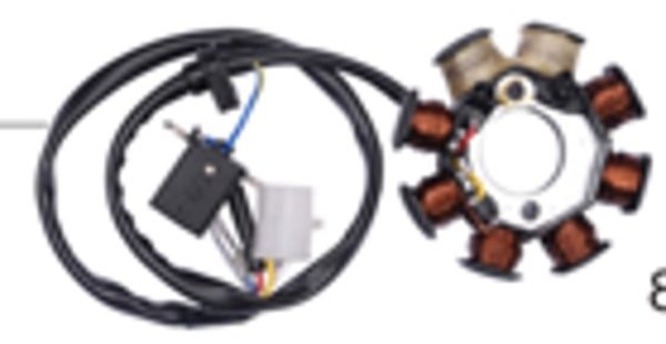 Stator (125 CC)